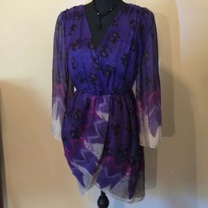 Aryn 100% Silk Dress-Stunning! Size Medium